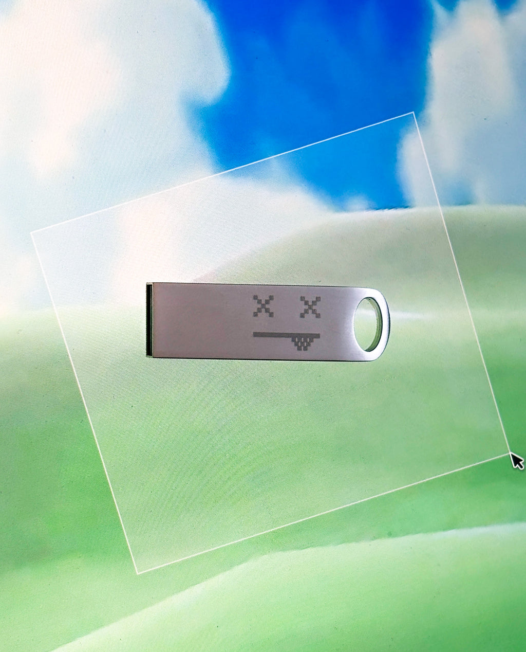 "Give it 2 me" Malware USB + Hardcore Software Album